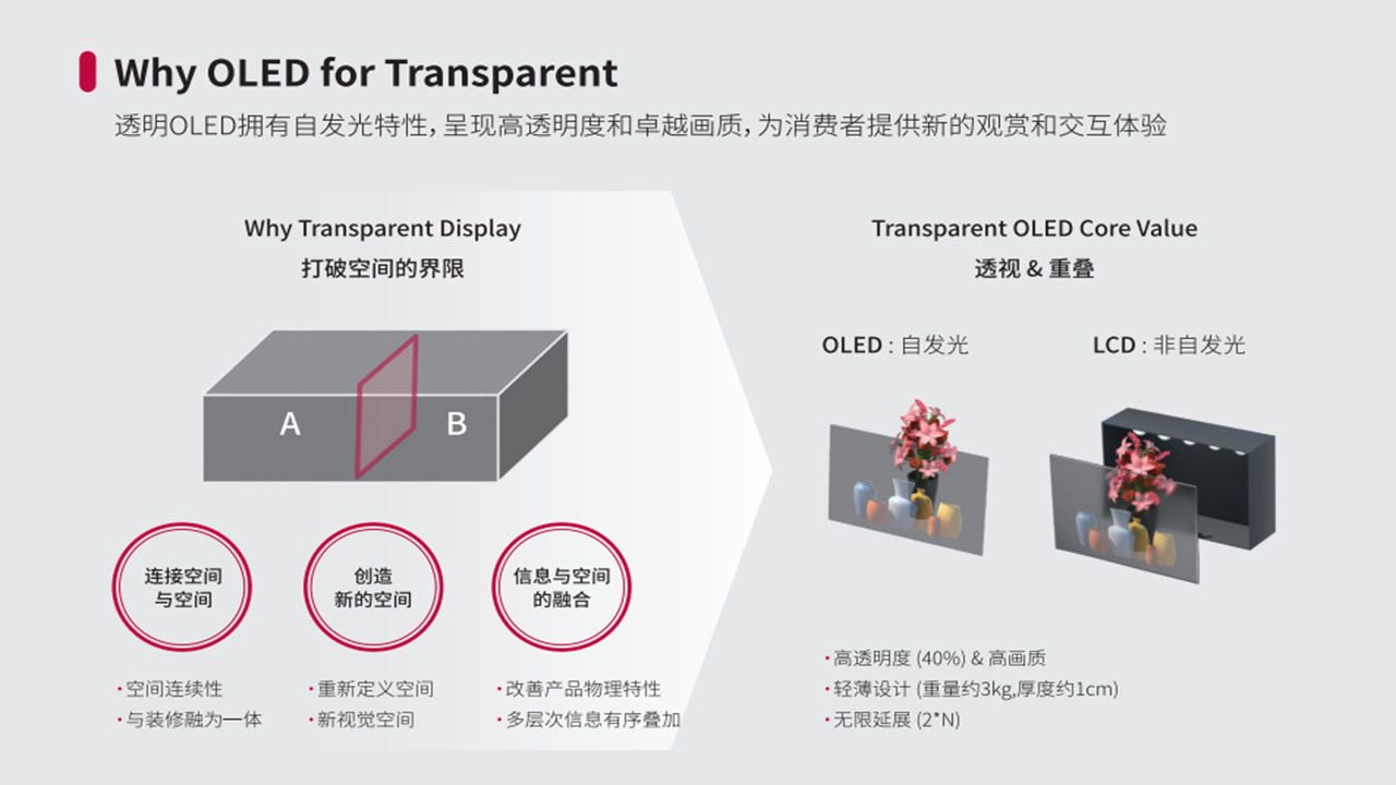 起鸿科技与LG Display交流培训会